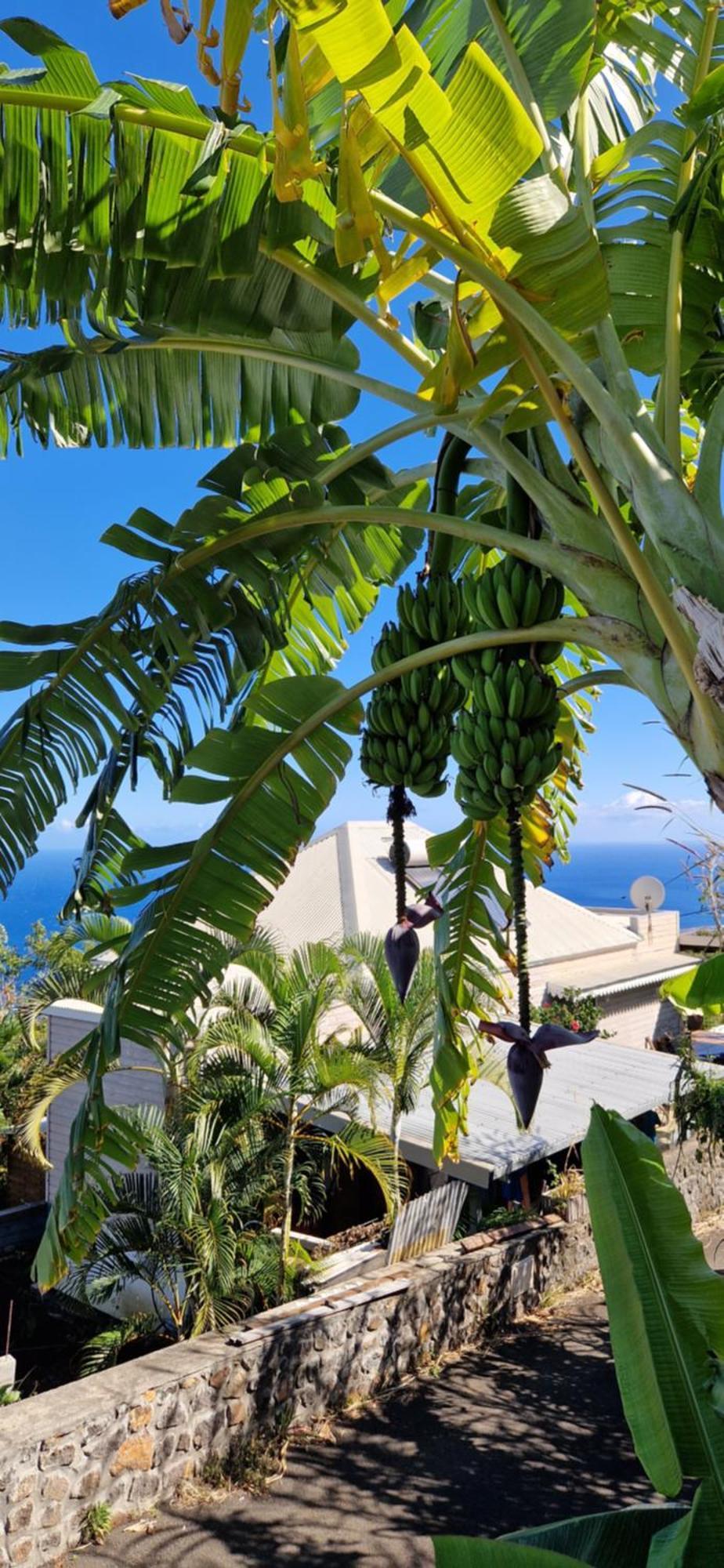 Villa Maloya Saint-Leu Εξωτερικό φωτογραφία
